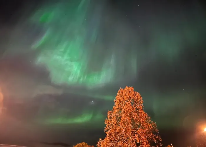 Northen Light, Aurora