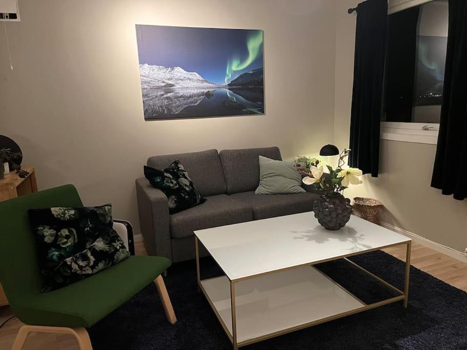 Apartment Northen Light, Aurora *