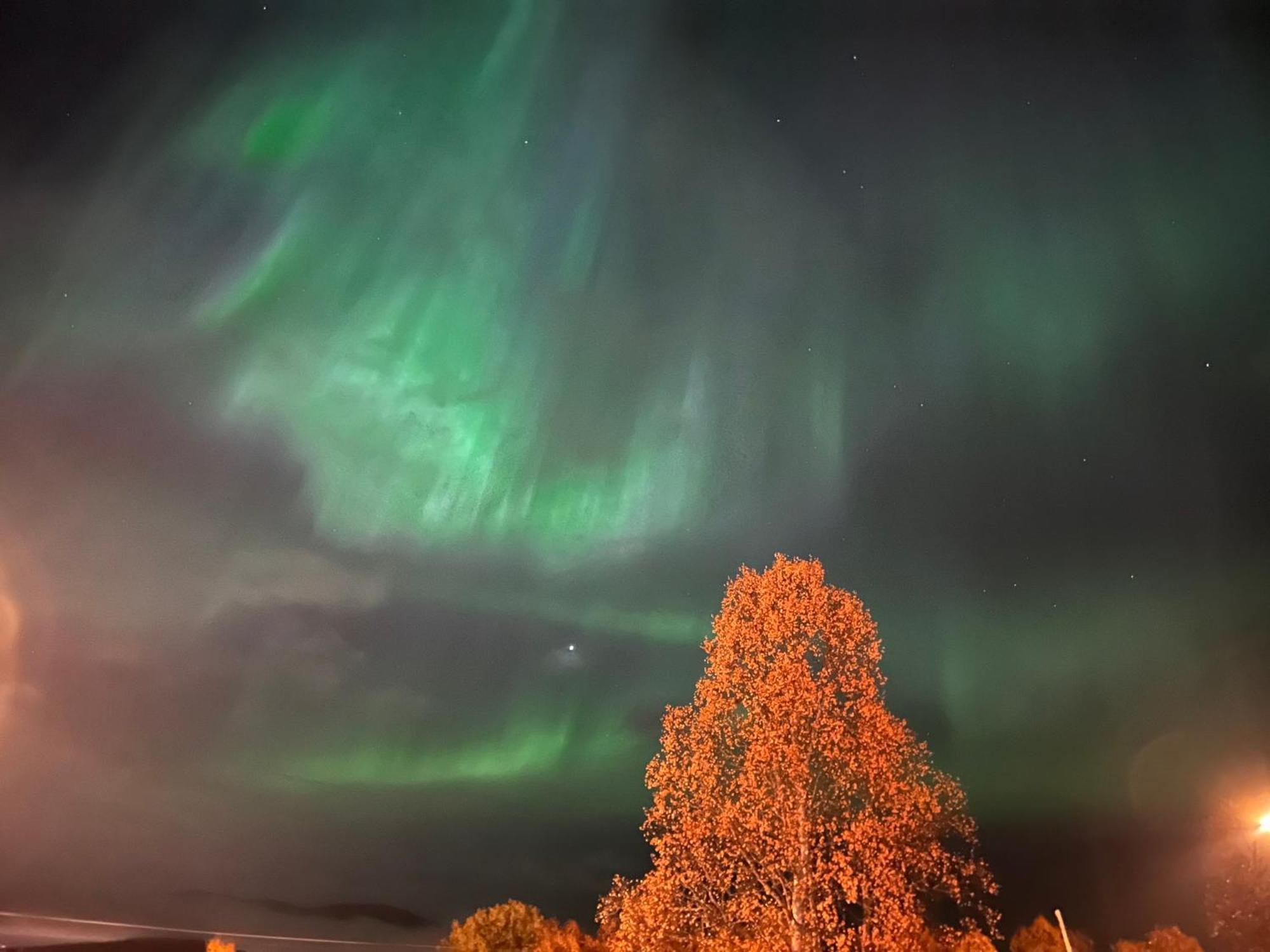 Northen Light, Aurora * Tromso